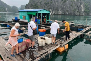 Cat Ba: Lan Ha Bay-kryssning med privat balkong och liten grupp