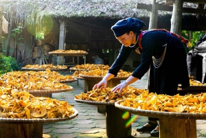 Turismo comunitário: Aldeia Thai Hai da etnia Tay, partida de Hanói