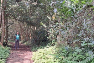 Viagem de 1 dia a Cuc Phuong a partir de Hanói