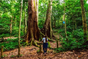 Viaggio privato nella foresta di Cuc Phuong e nella riserva naturale di Van Long