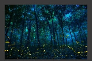 Cuc Phuong National Park And Van Long Day Trip From Hanoi