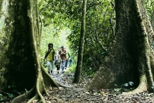 Cuc Phuong National Park And Van Long Day Trip From Hanoi