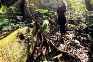 Cuc Phuong National Park And Van Long Day Trip From Hanoi