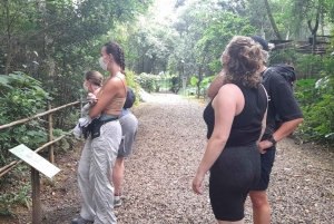 Cuc Phuong National Park Hiking Tour