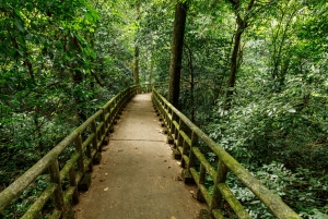 Cuc Phuong National Park Hiking Tour