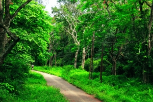 Cuc Phuong National Park Hiking Tour