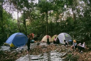 Parc national de Cuc Phuong : Trek & Camp dans la jungle 2 jours
