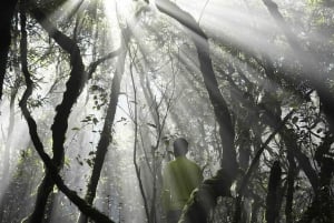 Parc national de Cuc Phuong : Trek & Camp dans la jungle 2 jours