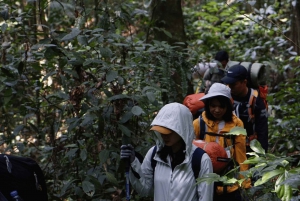 Parc national de Cuc Phuong : Trek & Camp dans la jungle 2 jours