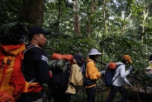 Parc national de Cuc Phuong : Trek & Camp dans la jungle 2 jours