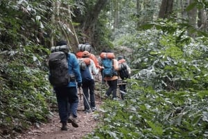 Parc national de Cuc Phuong : Trek & Camp dans la jungle 2 jours