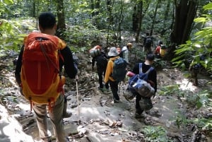 Parc national de Cuc Phuong : Trek & Camp dans la jungle 2 jours