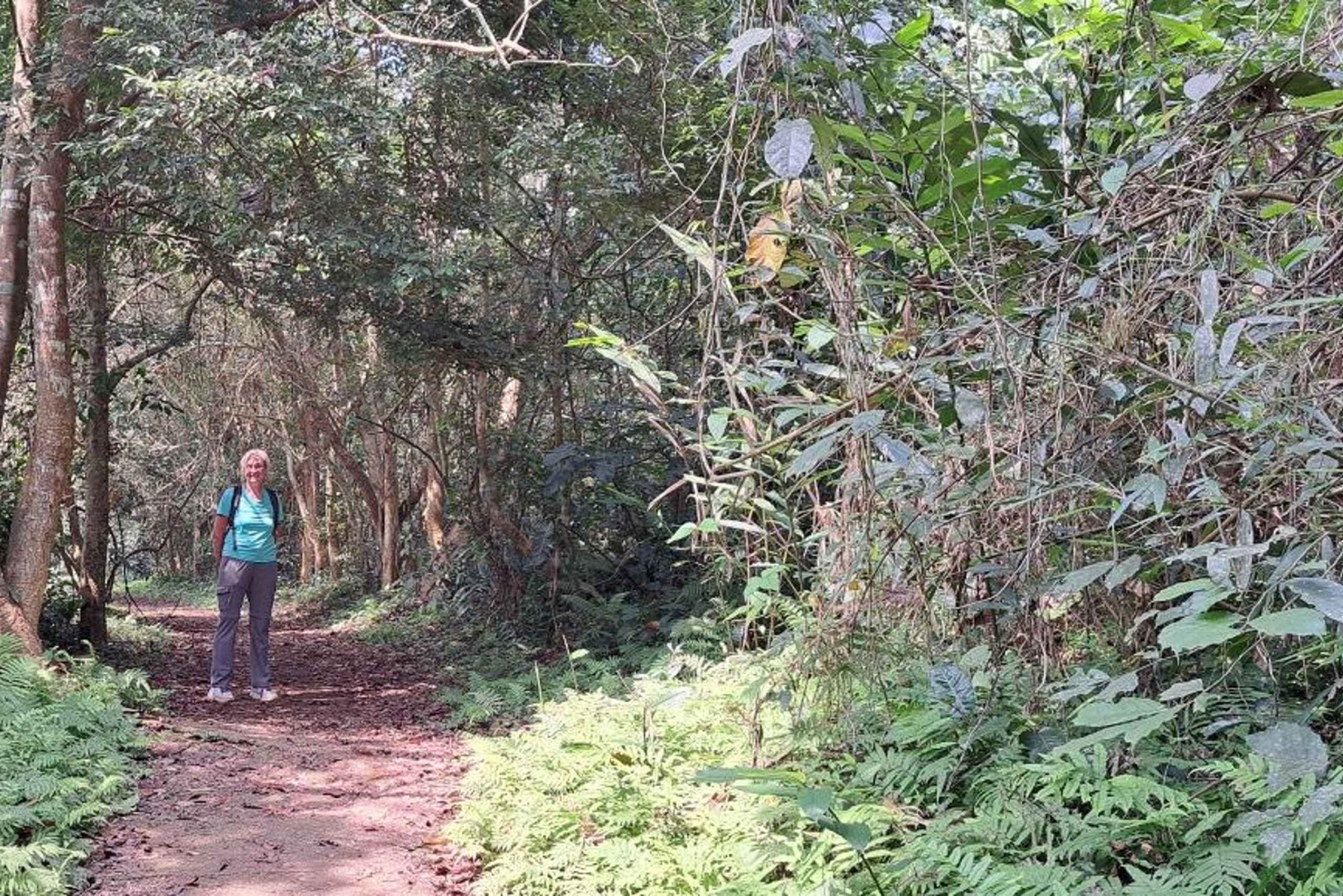 Cuc Phuong National Park - Van Long Day Trip From Hanoi