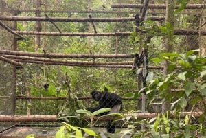 クックフォン国立公園 - ハノイ発ヴァンロン日帰り旅行