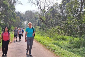 Cuc Phuong National Park - Van Long Day Trip From Hanoi