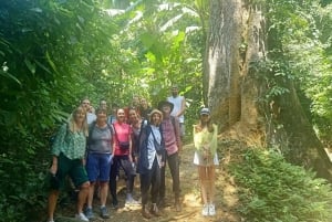 Кук Фуонг Ван Лонг: поездка на целый день из Ханоя