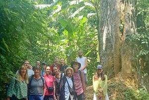 Кук Фуонг Ван Лонг: поездка на целый день из Ханоя