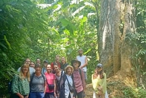 Кук Фуонг Ван Лонг: поездка на целый день из Ханоя