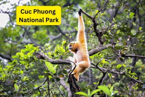 Ninh Binh – zwiedzaj po swojemu – pełne pakiety