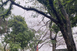 Ninh Binh – zwiedzaj po swojemu – pełne pakiety