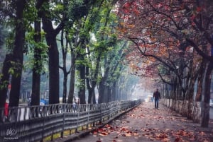 Utforska Hanoi med en heldagstur