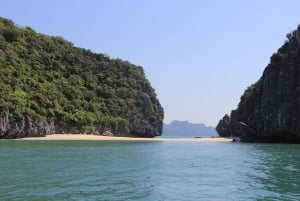 Depuis l'île de Cat Ba : Croisière dans la baie de Bai Tu Long 2D/1N Route tranquille