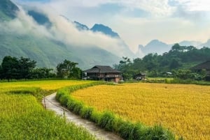 Fra Catba: Buss fra Catba-øya til Hagiang/Hanoi/Ninh Binh