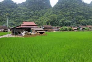 Fra Ha Giang: 6D5N-Ha Giang Loop til Cao Bang med EasyRider