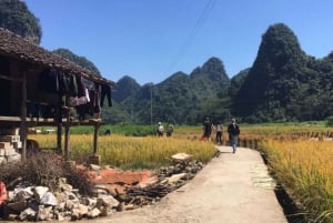Fra Ha Giang: 6D5N-Ha Giang Loop til Cao Bang med EasyRider