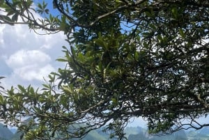 Fra Ha Giang: 6D5N-Ha Giang Loop til Cao Bang med EasyRider