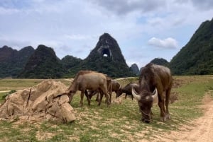 Fra Ha Giang: 6D5N-Ha Giang Loop til Cao Bang med EasyRider