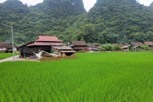 Ha Giang: 6D5N - Ha Giang Loop to Cao Bang Con Easy Rider