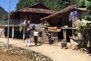 Ha Giang: 6D5N - Ha Giang Loop to Cao Bang Con Easy Rider