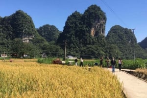 Ha Giang: 6D5N - Ha Giang Loop to Cao Bang Con Easy Rider