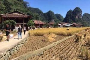 Ha Giang: 6D5N - Ha Giang Loop to Cao Bang Con Easy Rider