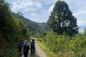 Ha Giang: 4-dagers Ha Giang Loop Tour med Easy Rider