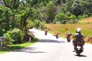 Da Ha Noi: Tour di gruppo CaoBang 2D - Moto con EasyRider