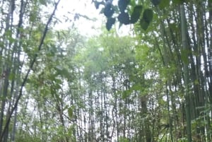 Da Ha Noi: Tour di gruppo CaoBang 2D - Moto con EasyRider