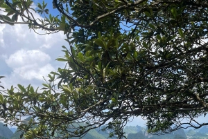 Au départ de Hanoï : circuit en moto à Cao Bang avec EasyRider, 3 jours