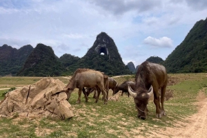 Au départ de Hanoï : circuit en moto à Cao Bang avec EasyRider, 3 jours