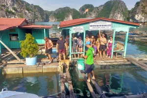 Hanoista/Cat Basta: koko päivän risteily Lan Haan – Ha Long Bay