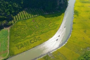 From Ha Noi: Hoa Lu – Tam Coc or Trang An – Mua Cave
