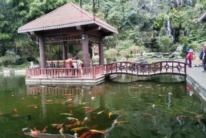 Fra Ha Noi - Ninh Binh 2 dage - 1 nat