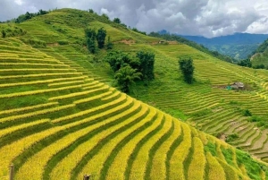 Von Ha Noi: Sapa 2D1N Cat Cat und Lao Chai Ta Van & Fansipan