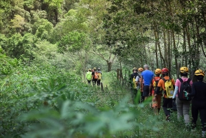 Von Hanoi zur Cha-Loi-Höhle – 3-tägige Tagestour in Quang Binh