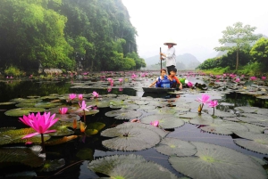 Vanuit Ha Noi: Bezoek Parfum Pagode in 1 dag