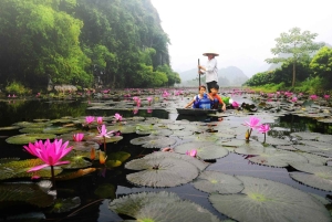 Fra Ha Noi: Besøg parfume-pagoden på 1 dag