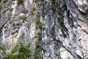 De Halong: 2 dias / 1 noite com passeio Halong - Lan Ha