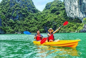 Ab Hanoi: 1-tägige Halong-Bucht-Kreuzfahrt mit großen und kleinen Gruppen