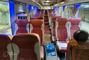 Ab Hanoi: 1-tägige Halong-Bucht-Kreuzfahrt mit großen und kleinen Gruppen